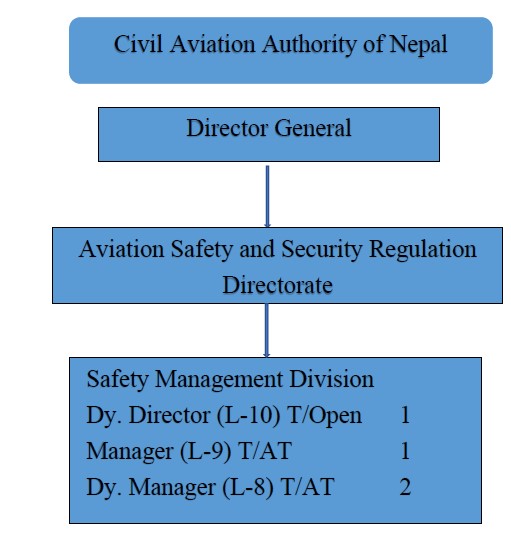 Organizational Structure
