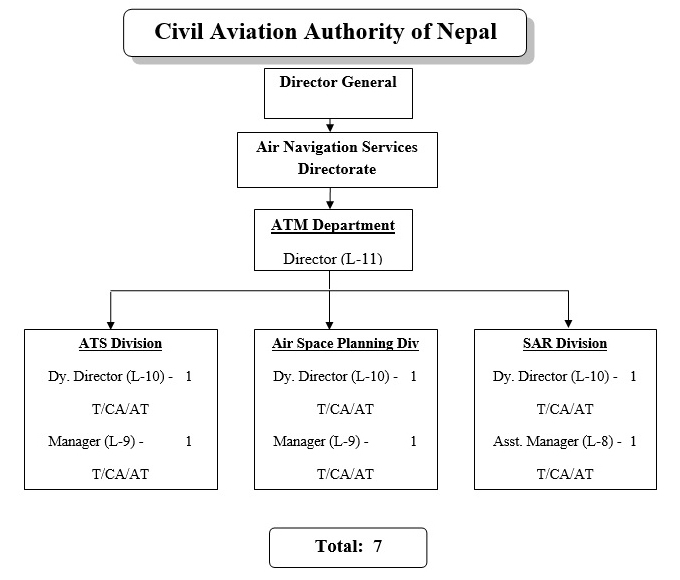 Organizational Structure